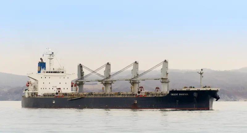 STRAITS BAY Bulk Carrier IMO 9370006 photo 2