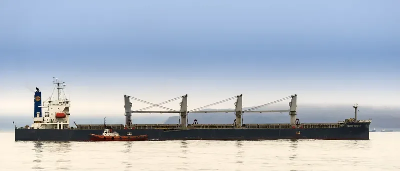 STRAITS BAY Bulk Carrier IMO 9370006 photo 3