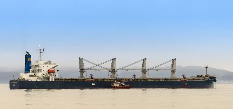 STRAITS BAY Bulk Carrier IMO 9370006 photo 4