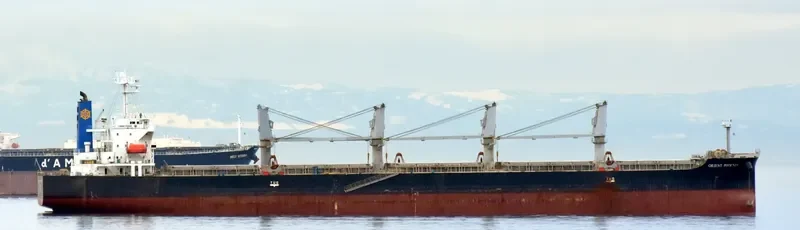STRAITS BAY Bulk Carrier IMO 9370006 photo 8