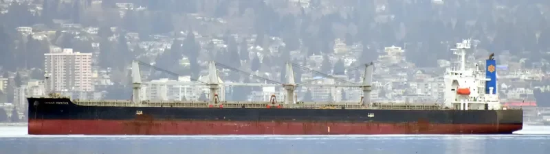 STRAITS BAY Bulk Carrier IMO 9370006 photo 9