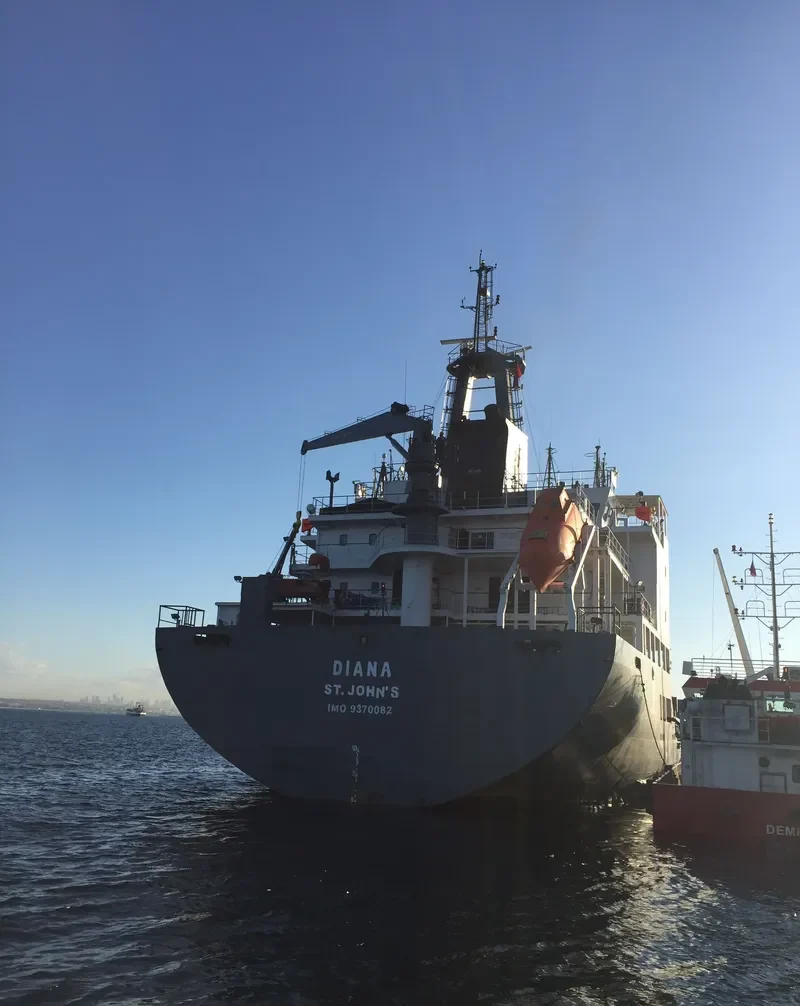 FULMAR S General Cargo IMO 9370082 photo 2