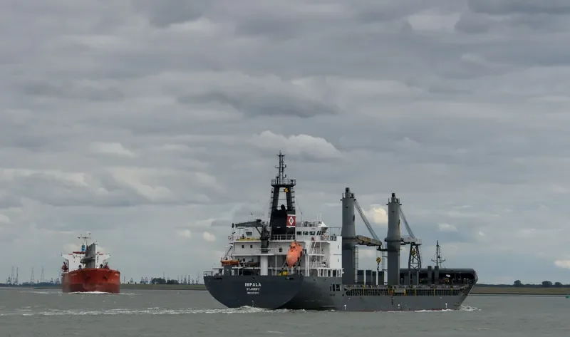 IMPALA General Cargo IMO 9370111
