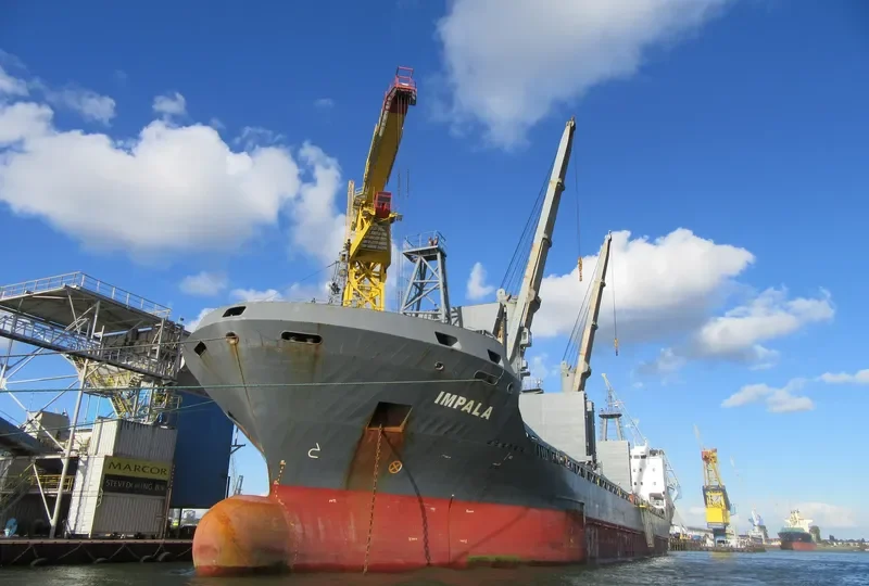 IMPALA General Cargo IMO 9370111 photo 6