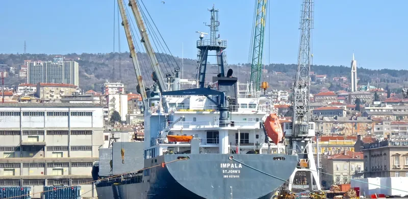 IMPALA General Cargo IMO 9370111 photo 9