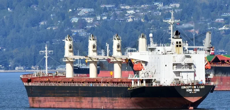 CONCEPTION LIGHT General Cargo IMO 9370147