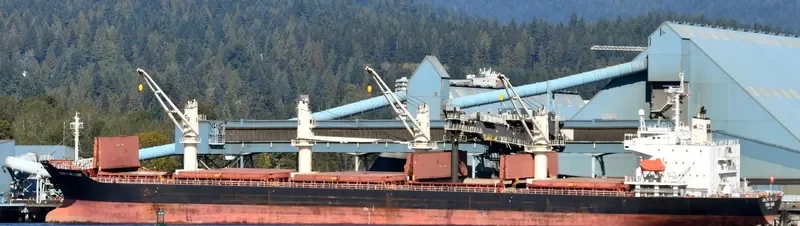 CONCEPTION LIGHT General Cargo IMO 9370147 photo 3