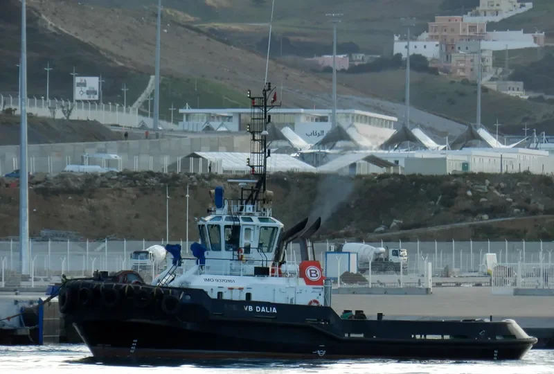 VB DALIA General Cargo IMO 9370161