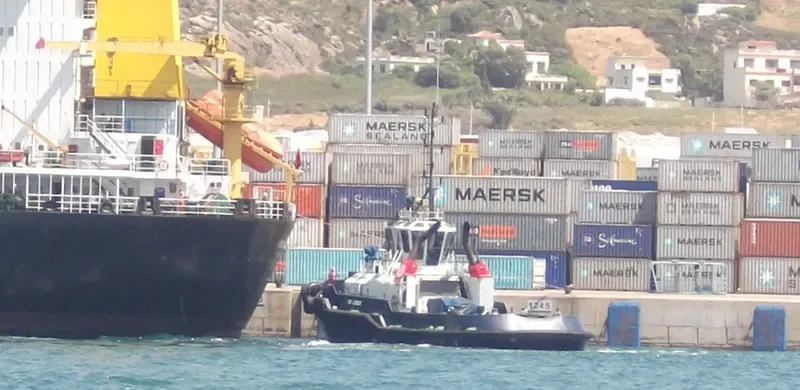 VB DALIA General Cargo IMO 9370161 photo 8