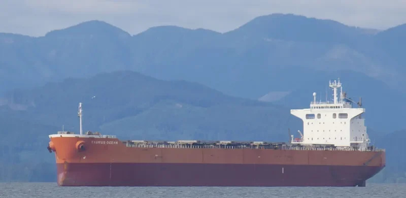 BLUE BOSPORUS Bulk Carrier IMO 9370185