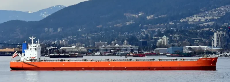BLUE BOSPORUS Bulk Carrier IMO 9370185 photo 2