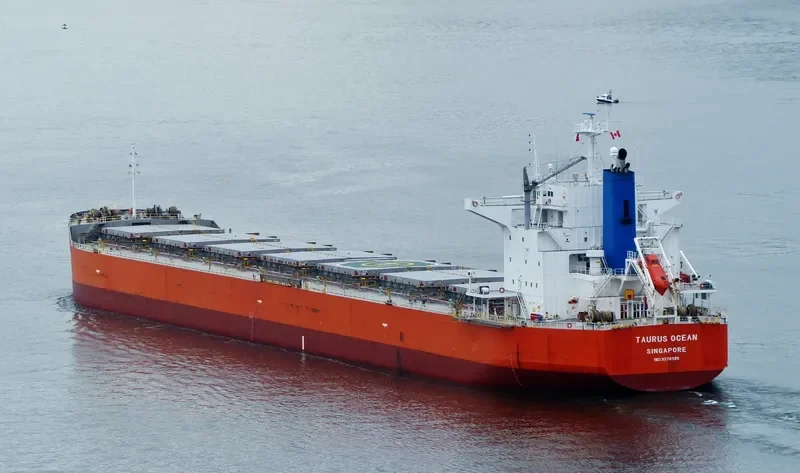 BLUE BOSPORUS Bulk Carrier IMO 9370185 photo 3