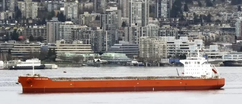 BLUE BOSPORUS Bulk Carrier IMO 9370185 photo 6