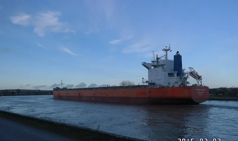 BLUE BOSPORUS Bulk Carrier IMO 9370185 photo 8