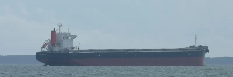 SOROCO Bulk Carrier IMO 9370197 photo 3