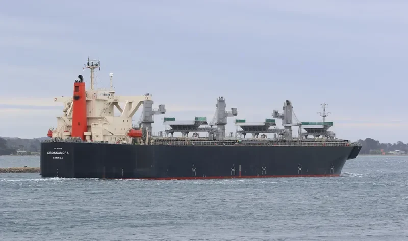 CROSSANDRA Bulk Carrier IMO 9370226 photo 5