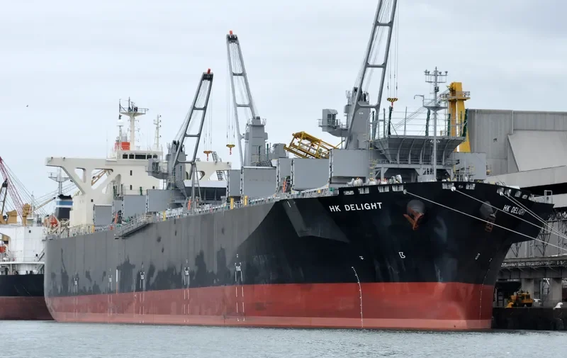 HK DELIGHT Bulk Carrier IMO 9370238 photo 3