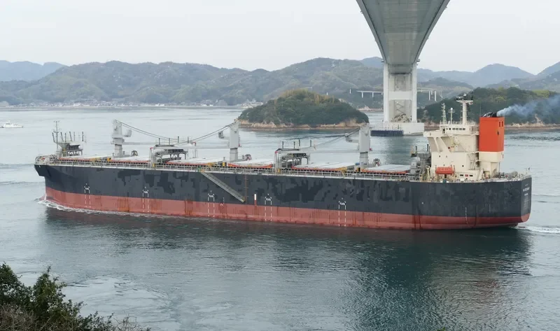 HK DELIGHT Bulk Carrier IMO 9370238 photo 6