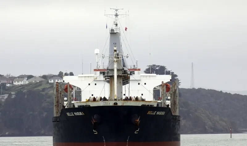 AGIA ELENI Bulk Carrier IMO 9370317
