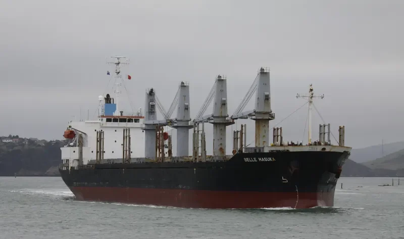 AGIA ELENI Bulk Carrier IMO 9370317 photo 2