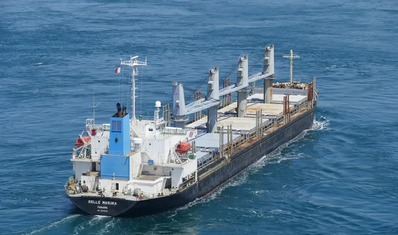 AGIA ELENI Bulk Carrier IMO 9370317 photo 3