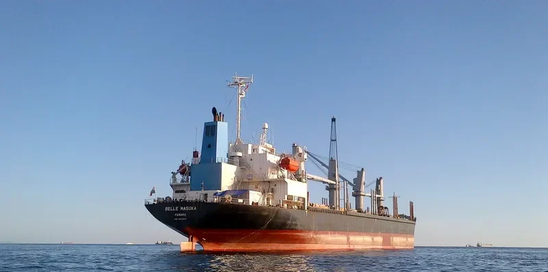 AGIA ELENI Bulk Carrier IMO 9370317 photo 5