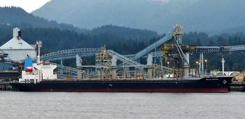 AGIA ELENI Bulk Carrier IMO 9370317 photo 7