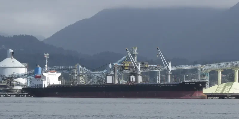 AGIA ELENI Bulk Carrier IMO 9370317 photo 8
