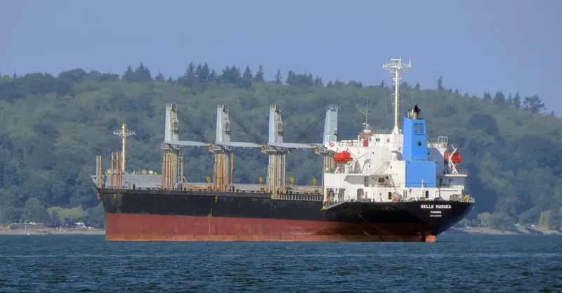 AGIA ELENI Bulk Carrier IMO 9370317 photo 9