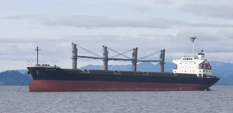BLISS Bulk Carrier IMO 9370331