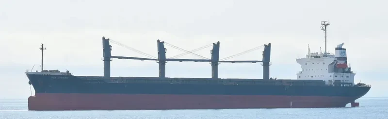 BLISS Bulk Carrier IMO 9370331 photo 2