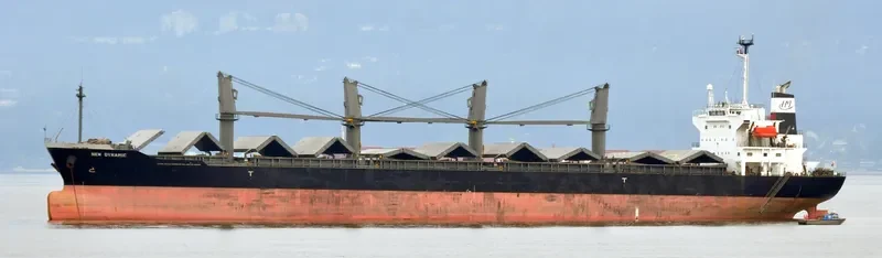 BLISS Bulk Carrier IMO 9370331 photo 3
