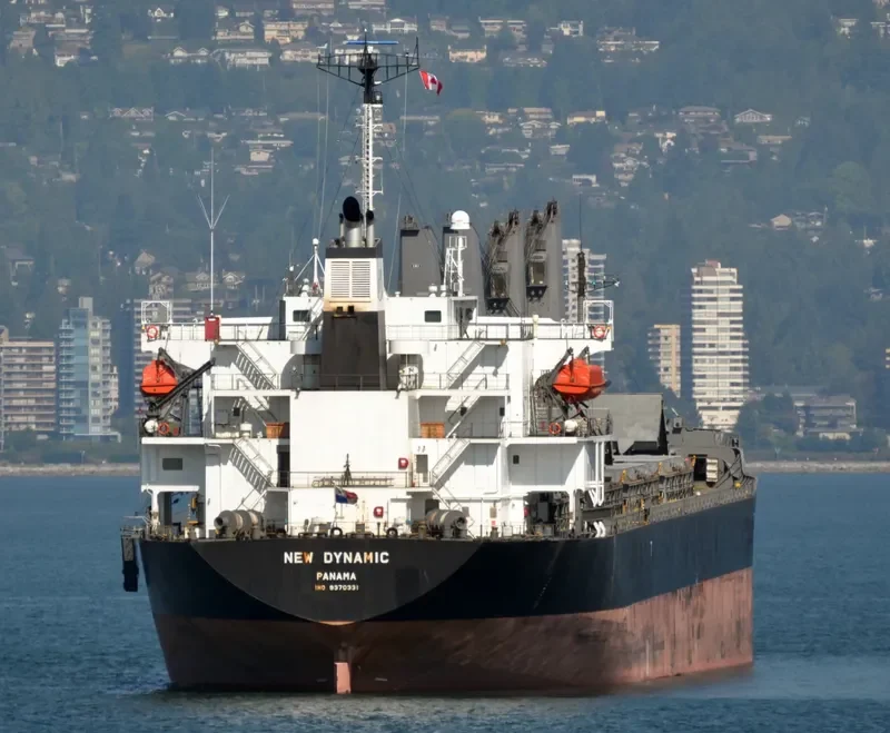 BLISS Bulk Carrier IMO 9370331 photo 4