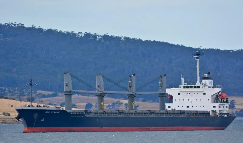 BLISS Bulk Carrier IMO 9370331 photo 5
