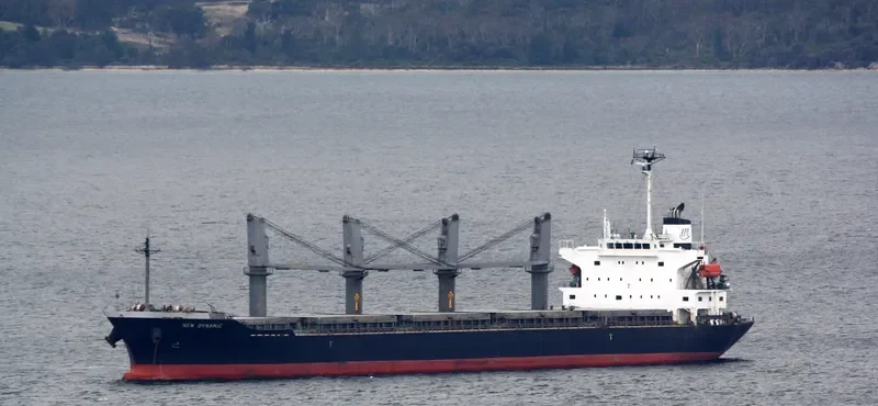 BLISS Bulk Carrier IMO 9370331 photo 6
