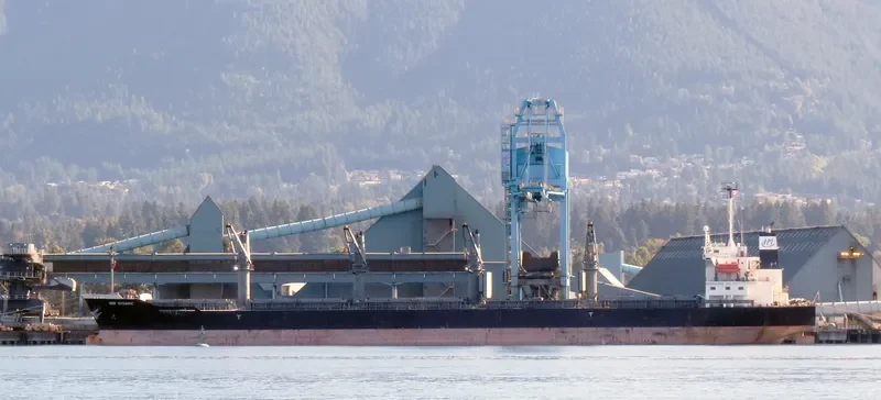BLISS Bulk Carrier IMO 9370331 photo 7