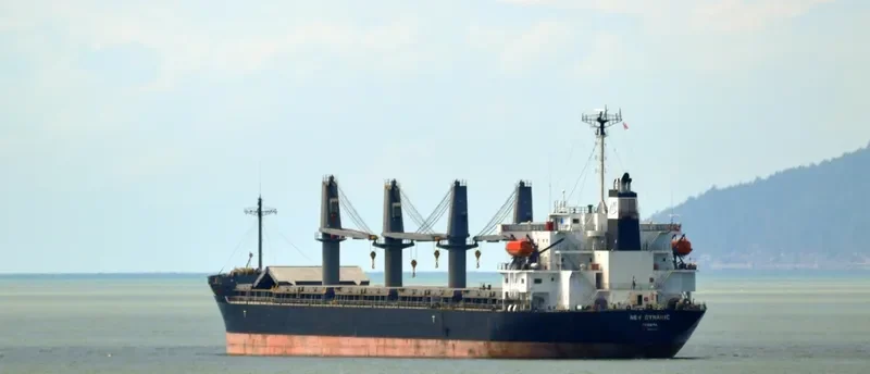 BLISS Bulk Carrier IMO 9370331 photo 8