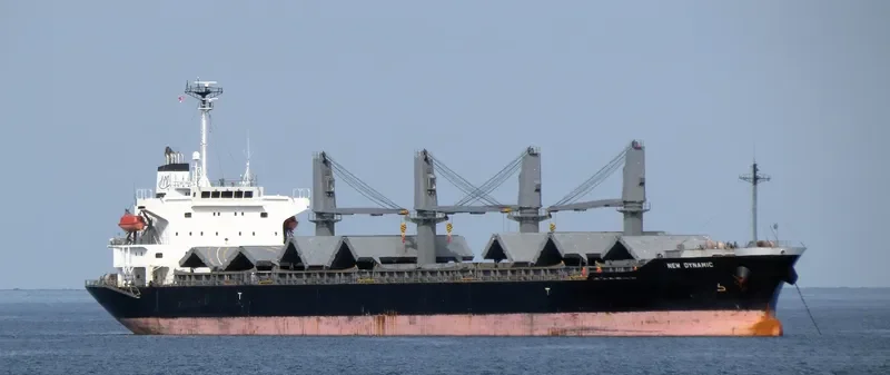BLISS Bulk Carrier IMO 9370331 photo 9