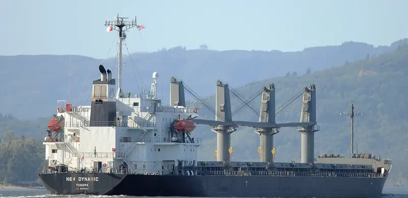 BLISS Bulk Carrier IMO 9370331 photo 10
