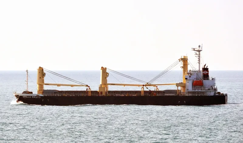 APOLLO RIKUYO General Cargo IMO 9370355 photo 2