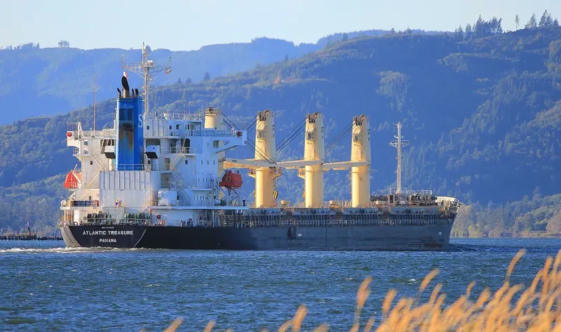 AEGEAN SPIRE Bulk Carrier IMO 9370381 photo 2