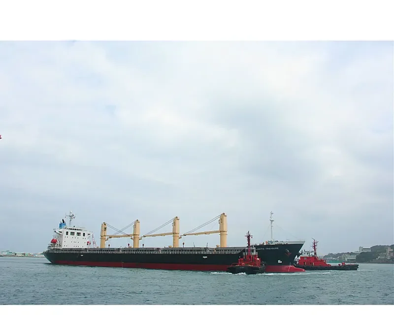 AEGEAN SPIRE Bulk Carrier IMO 9370381 photo 8