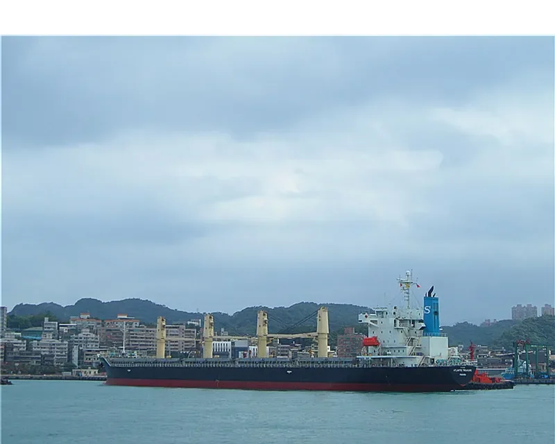 AEGEAN SPIRE Bulk Carrier IMO 9370381 photo 10
