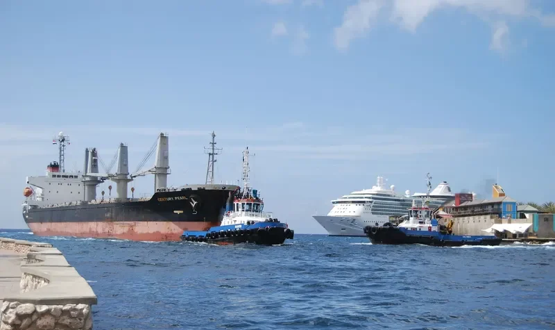 WHITE IVY Bulk Carrier IMO 9370393