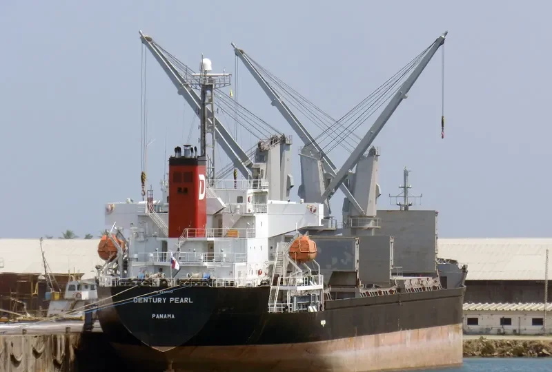 WHITE IVY Bulk Carrier IMO 9370393 photo 2