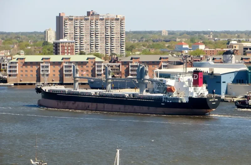 WHITE IVY Bulk Carrier IMO 9370393 photo 4