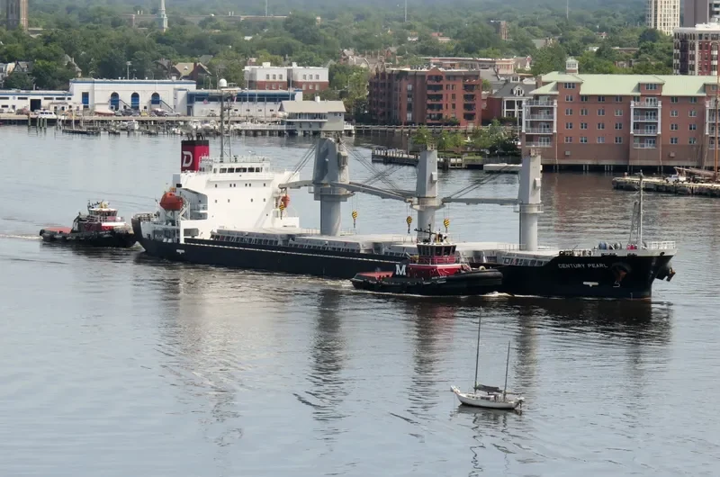WHITE IVY Bulk Carrier IMO 9370393 photo 5