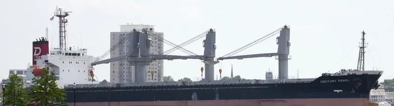 WHITE IVY Bulk Carrier IMO 9370393 photo 6