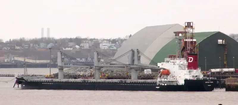 WHITE IVY Bulk Carrier IMO 9370393 photo 7