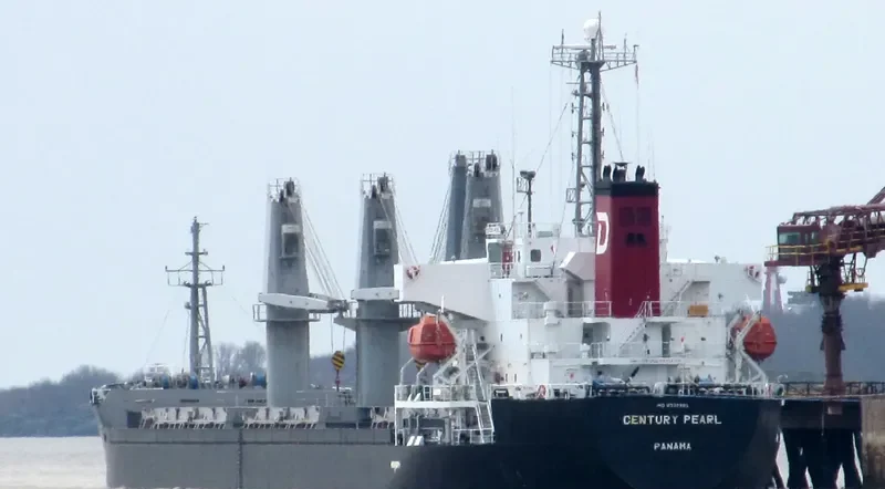 WHITE IVY Bulk Carrier IMO 9370393 photo 8